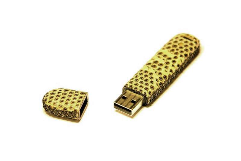 MJ - USB Flash Drive Lizard Limited Edition - Iguana & Varan Leather. Multi Channel Speed 512gb.
